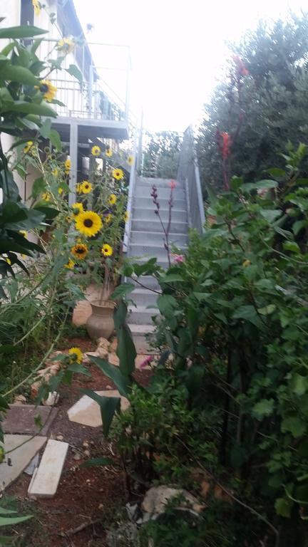 Amazing Galilee View Apartment ซาเฟด ภายนอก รูปภาพ